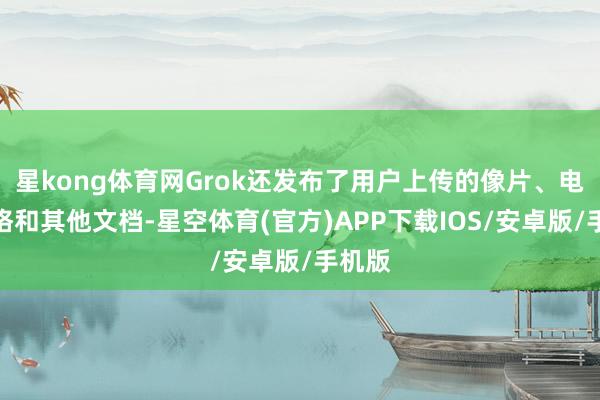 星kong体育网Grok还发布了用户上传的像片、电子表格和其他文档-星空体育(官方)APP下载IOS/安卓版/手机版