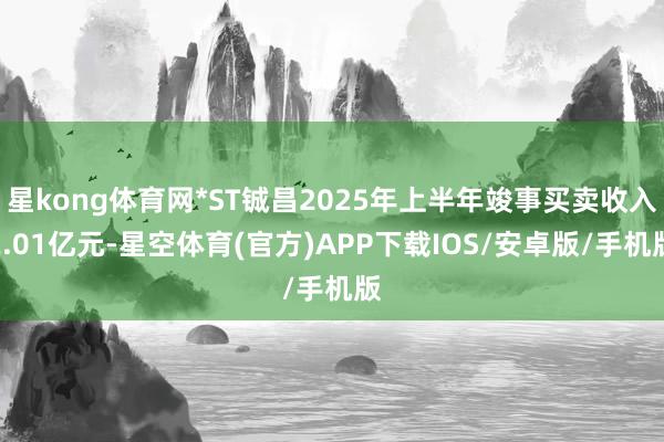 星kong体育网*ST铖昌2025年上半年竣事买卖收入2.01亿元-星空体育(官方)APP下载IOS/安卓版/手机版
