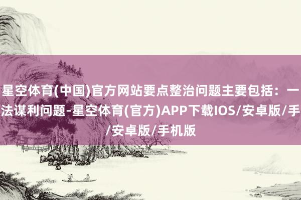 星空体育(中国)官方网站要点整治问题主要包括：一口角法谋利问题-星空体育(官方)APP下载IOS/安卓版/手机版