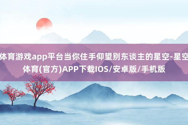 体育游戏app平台当你住手仰望别东谈主的星空-星空体育(官方)APP下载IOS/安卓版/手机版