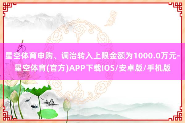 星空体育申购、调治转入上限金额为1000.0万元-星空体育(官方)APP下载IOS/安卓版/手机版