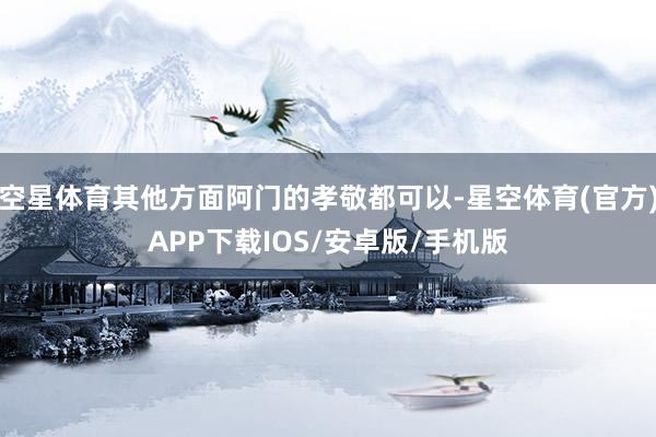 空星体育其他方面阿门的孝敬都可以-星空体育(官方)APP下载IOS/安卓版/手机版