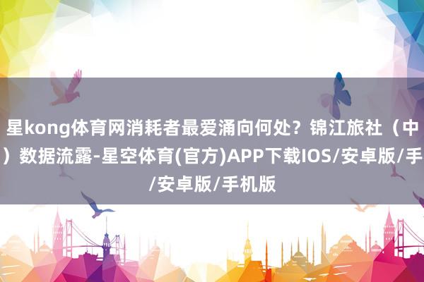 星kong体育网消耗者最爱涌向何处？锦江旅社（中国区）数据流露-星空体育(官方)APP下载IOS/安卓版/手机版